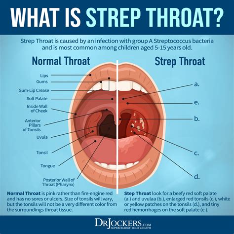 best deep throat|Everything You Need to Know to Give Earth